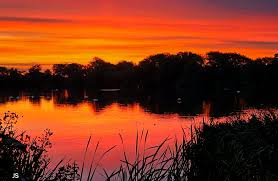 Image result for Ravenshead Petanque Club