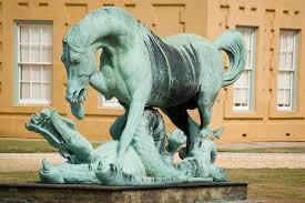 Image result for Basingstoke Sc