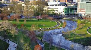 Image result for stamford cc