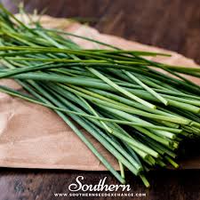 Attēlu rezultāti vaicājumam “Allium schoenoprasum fruit”