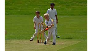 Image result for Ashdon Cricket Club