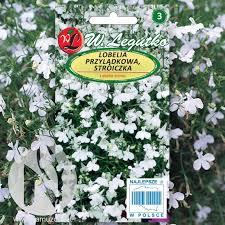 Image result for Lobelia erinus