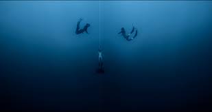 Image result for Deep Blue Diving