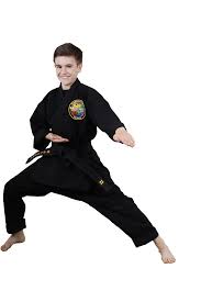 Image result for Synergy Tae Kwon Do