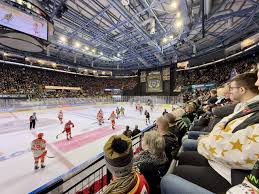 Image result for Nottingham Panthers