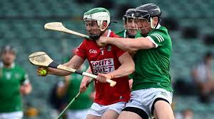 Image result for hurling