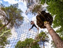 Image result for The Go Ape Experience (Delamere Forest)