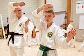 Image result for Konjaku Shin National School Of Karate, Lincolnshire