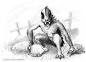 HowStuffWorks "Characteristics and Origins of El Chupacabra"