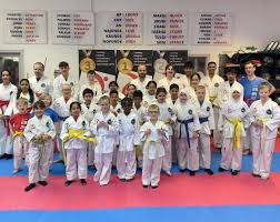 Image result for St Helen`s School Of Taekwondo