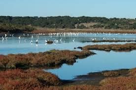 Image result for Slough