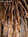 The Virtual Cave: Draperies