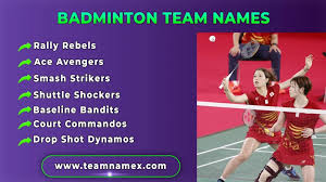 Image result for Nomads Badminton Players Badminton Club