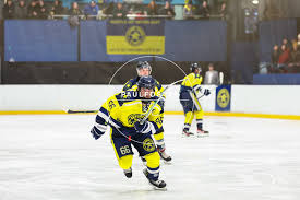 Image result for Oxford City Stars Ice Hockey Club