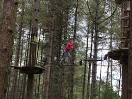 Image result for Go Ape! Moors Valley