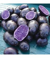 Afbeeldingsresultaat voor kosmonaut volkov 68D tomato