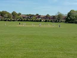 Image result for Dorchester Cricket Club