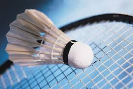 Image result for Struttles Badminton Club