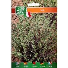 Image result for Thymus vulgaris