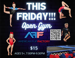 Image result for The Flip Factory Gymnastics Club