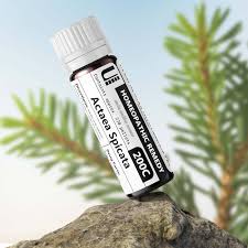 Attēlu rezultāti vaicājumam “Actaea spicata”