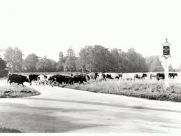 Image result for Englefield Green Rovers