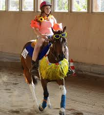 Freestyle Reining heißt es, wenn Reiter und Pferde verkleidet auftreten. Foto: Janine Brunner