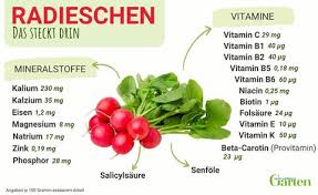 Image result for Radieschen