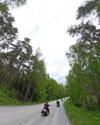 Image result for Abinger Forest Riding Club