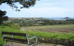 Image result for Ludgvan Cc