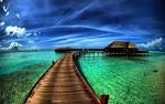 attractive photo of nature