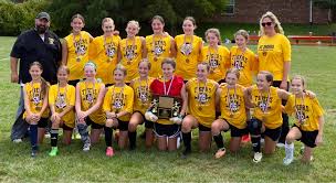 Image result for St Theresas Badminton Club