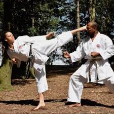 Image result for Zen Shin Seicho Do Adult Karate