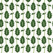 Attēlu rezultāti vaicājumam “Sinapis alba leaf”