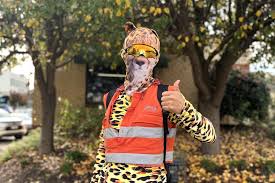 Image result for cat man