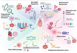 Image result for %E1%83%99%E1...tart=40