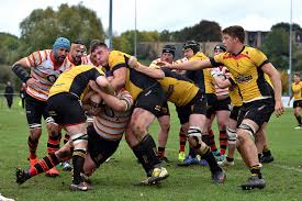Image result for Bridgwater & Albion RFC