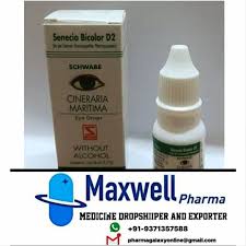 Image result for Cineraria maritima