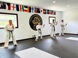 Image result for Ynys Mon Shukokai Karate Club, North Wales