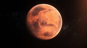 Image result for mars trees