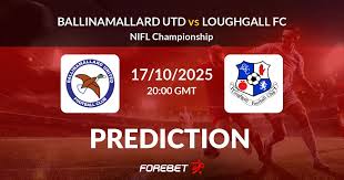 Image result for Ballinamallard United Football Club