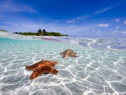 Resultado de imagen para cayman island