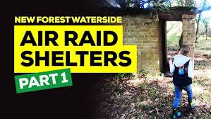 Image result for New Forest/Waterside