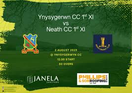 Image result for Ynysygerwn Cricket Club