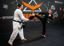 Image result for Phoenix Martial Arts