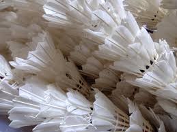 Image result for Chew Valley Badminton Club