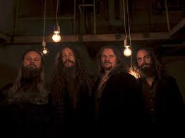 Image result for Abramis brama