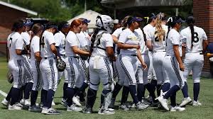 Image result for Lions Softball Club
