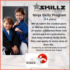 Image result for Skillz Martial Arts