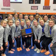 Image result for Sankey Springers Gymnastics Club